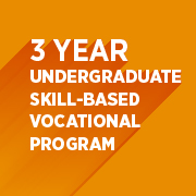 3 Year Undergraduate Skill-based Vocational Program