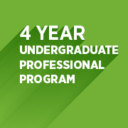 Undergraduate Professional Program
