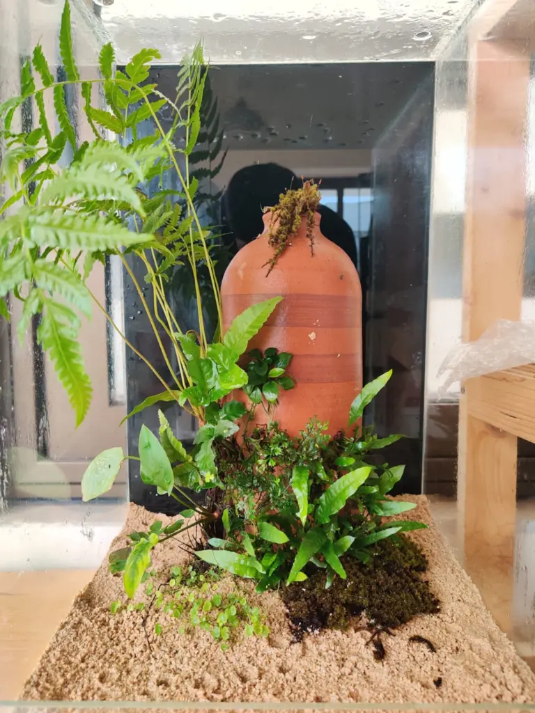 Terrarium Plant Studio/Lab